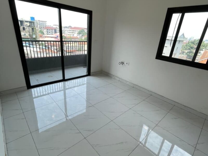 Location d'une villa moderne à gombe
